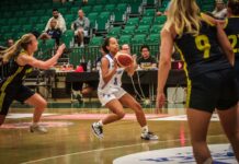 Semur í Garðabænum