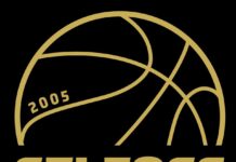 Auglýsa eftir formanni