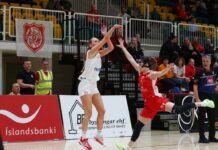 Fjórir leikir á dagskrá fyrstu deilda í dag