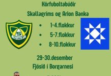 Körfuboltabúðir 29.-30. desember í Borgarnesi