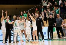 Flautukarfa Dinkins setti sópinn á loft og Njarðvík í undanúrslit