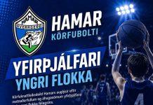 Leita að yfirþjálfara