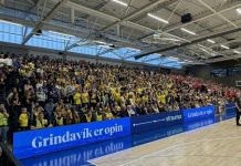Nokkrir hlutir sem glöddu í Grindavík